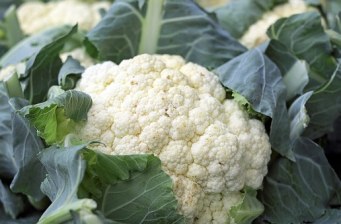 cauliflower-1465732__340