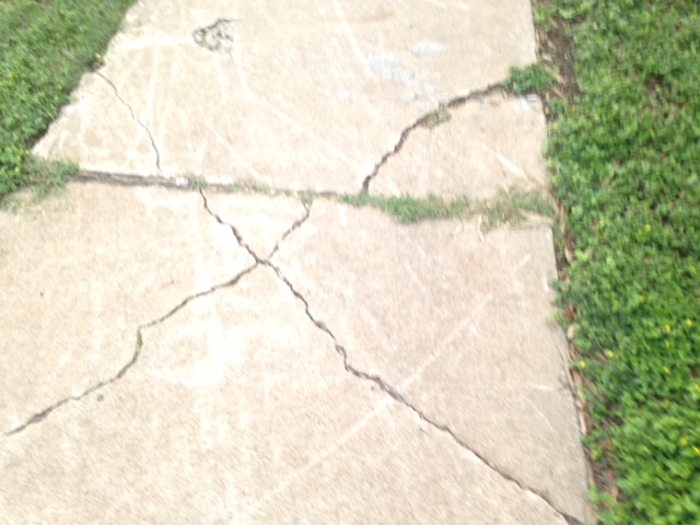 cracked sidewalk