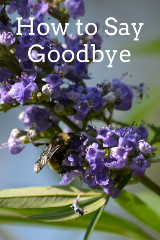 How to Say Goodbye